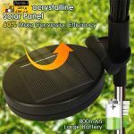 چراغ خورشیدی باغچه مدل گل شب تاب